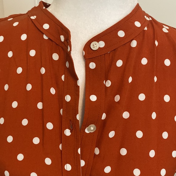 NWT Loft Petite Polka Dot Dress Sz MP - Picture 2 of 9